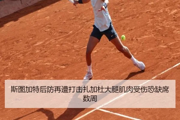 斯图加特后防再遭打击扎加杜大腿肌肉受伤恐缺席数周